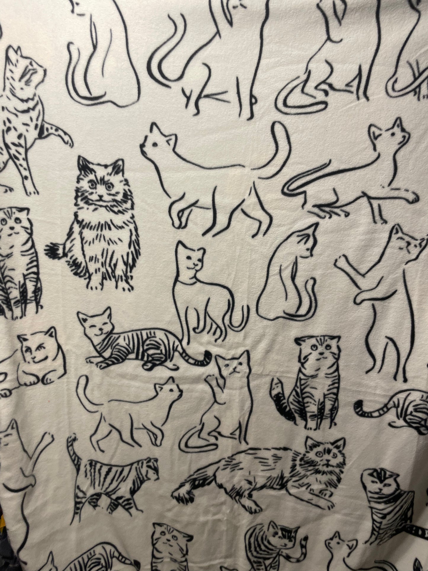 Cat Blanket